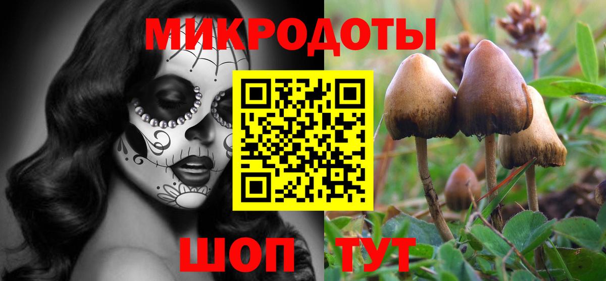 Псилоцибиновые грибы GOLDEN TEACHER Нарткала