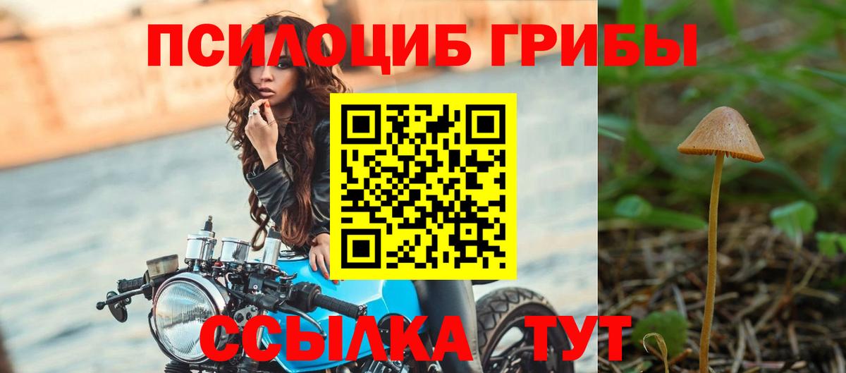 Нарткала  сколько стоит  Вход с VPN  Псилоцибиновые грибы Psilocybe 
